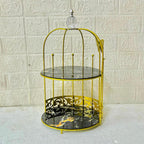 Luxury 2-Layer Anaya Decor Butterfly Cage Organizer